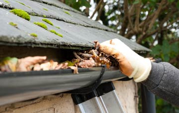 gutter cleaning Netherby