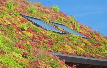 Netherby living roof systems