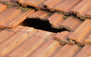 roof repair Netherby