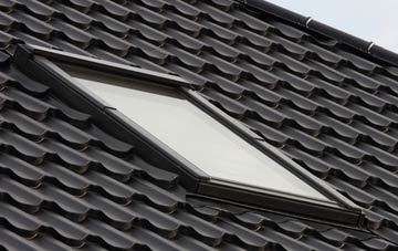 benefits of Netherby roof windows