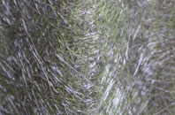 Netherby fibreglass roof work